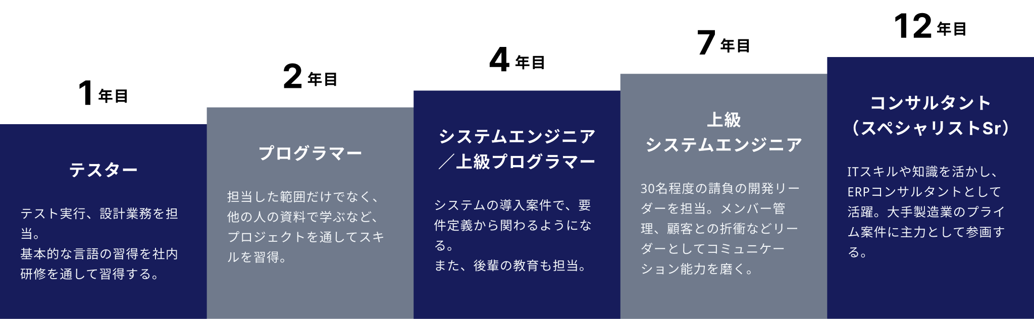 テスターからERPエンジニアへ進み、基幹系業務領域のコンサルタントを目指すキャリアパス